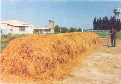 Kaba yığın safhasının görünümü.